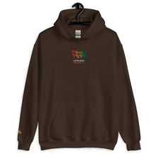 Load image into Gallery viewer, EMBROIDERED HOODIE UNISEX