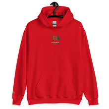 Load image into Gallery viewer, EMBROIDERED HOODIE UNISEX