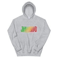Load image into Gallery viewer, JEDIIMUSIQ HOODIE