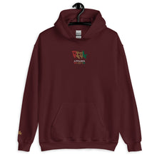Load image into Gallery viewer, EMBROIDERED HOODIE UNISEX
