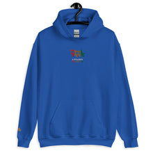 Load image into Gallery viewer, EMBROIDERED HOODIE UNISEX
